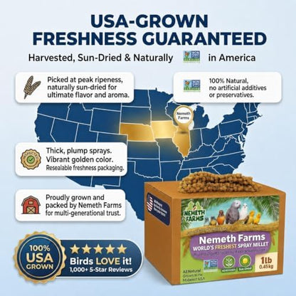 Nemeth Farms Spray Millet - Edible Tops Only, Non-GMO and Sun-Dried - 1 lb for Parakeets, Canaries and Finches