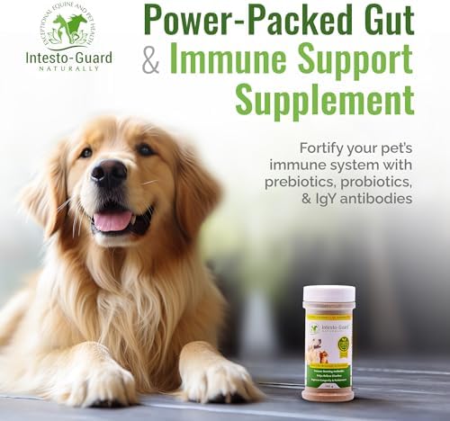 Powder Dog Probiotic, Prebiotic Puppies, No Animal By-Products, 2-Gram Scoop Contains 1.5 Billion, Digestive Health, Gut Support, Immune Boost – Vet-Formulated Powder for Maximum Potency – 180G Bottle