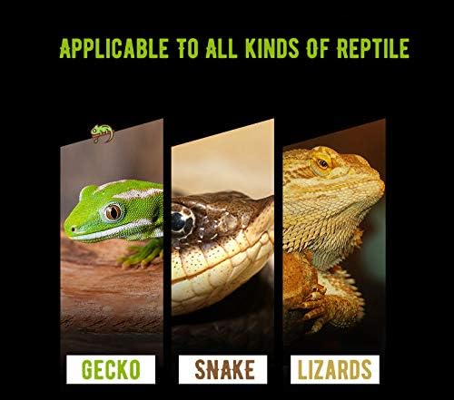 DOHO Reptile Breeding Box Reptile Egg Incubator Hatchery Box Suitable for Hatching Gecko Lizards Lions Mane