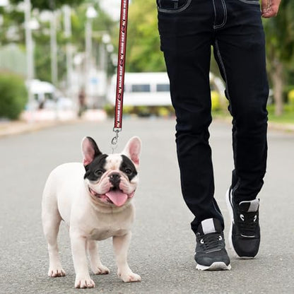 NBA Miami Heat Dog Leash, Size Small. Heavy-Duty Metal Swivel Buckle Pet Leash