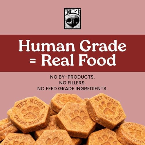 Wet Noses Organic Crunchy Dog Treats – All-Natural, Human-Grade, Non-GMO, Healthy Training & Delicious Snacks for Dogs, for All Dog Sizes & Breeds – Mesquite Bacon, 14oz (2 Pack)