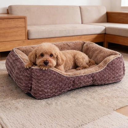 Plush Dog Bed Extra Large, Brown, Machine Washable, Dog Beds Sofa with Pillow Support, 35x25Inch, Corn Kernel Design, Non-Slip Bottom, Thick PP Cotton Padding