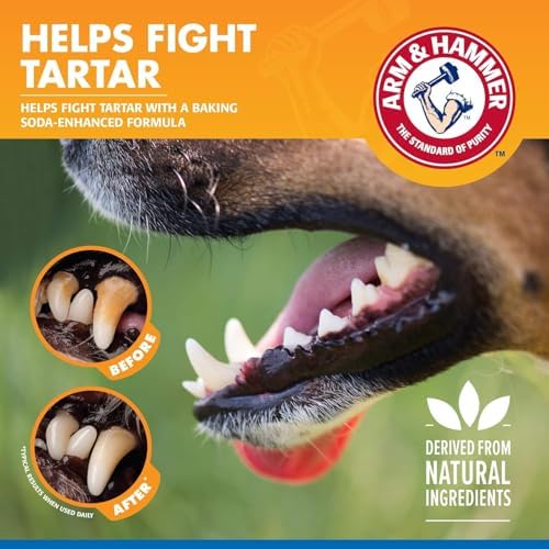 Arm & Hammer Clinical Care Dental Rinse for Dogs, 16 Fl Oz, 2-Pack