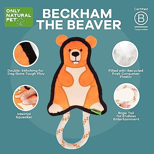 Only Natural Pet Mountain Friends Recycled Plush Dog Toys - Durable Double-Stitched Design with Internal Squeaker & Rope Tug Tail - Stuffed Toy for Dogs, Pet Toy | Beckham the Beaver, 5.5" x 11"