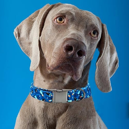 Dog Collar, Summer Rocket Durable Metal Boy Dog Collars Adjustable Pet Collar for Small Medium Large Dogs