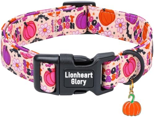 Fall Dog Collar, Halloween Pumpkin Floral Design Pet Collar for Large Dogs