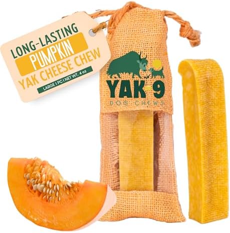 Yak9 Yak Cheese Himalayan Dog Chews, Pumpkin | High Protein, High Fiber Pumpkin Treats for Dogs | Long Lasting, Non GMO, Gluten Free, Grain Free | Large Size,1 PC