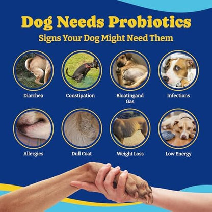 Probiotics for Dogs, Dog Gut, Immune & Skin Health Support Supplement