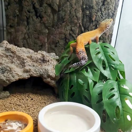 Fake Reptile Plants for Terrarium,Hanging Plant with Suction Cup