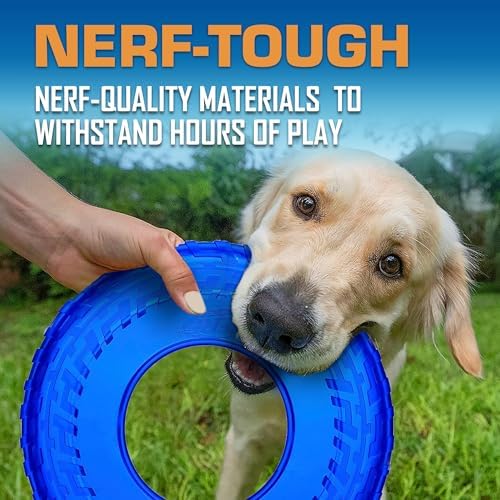Nerf Dog Tire Flyer Dog Toy Gift Set, Flying Disc_Dog Fetch Toys, Rubber_Dog Toy for Medium_Dogs and Large Dogs, Red, Translucent Green and Translucent Blue, 10 Inch (Pack of 12)