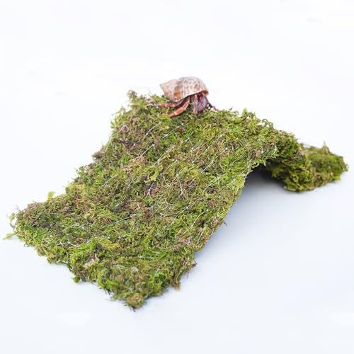 Hermit Crab Climbing Toys, 13.5 inch Bendable Climbing Bridge, Ideal Hermit Crab Supplies for 10 Gallon Hermit Crab Tank
