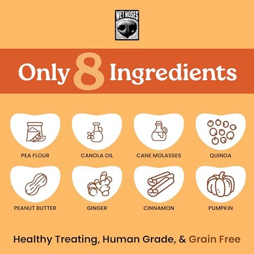Wet Noses Organic Crunchy Dog Treats Grain Free – All-Natural, Human-Grade, Non-GMO, Healthy Training & Delicious Snacks for Dogs, for All Dog Sizes & Breeds – Pumpkin & Quinoa, 14oz (Single Pack)