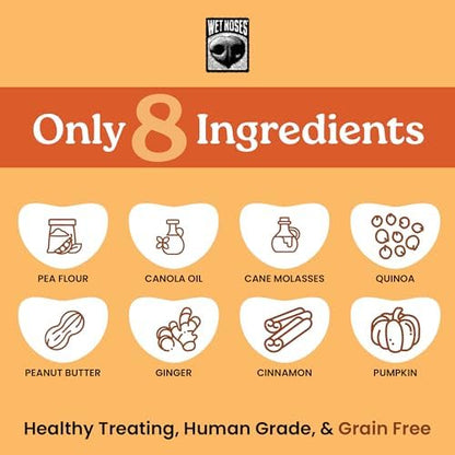 Wet Noses Organic Crunchy Dog Treats Grain Free – All-Natural, Human-Grade, Non-GMO, Healthy Training & Delicious Snacks for Dogs, for All Dog Sizes & Breeds – Pumpkin & Quinoa, 14oz (Single Pack)