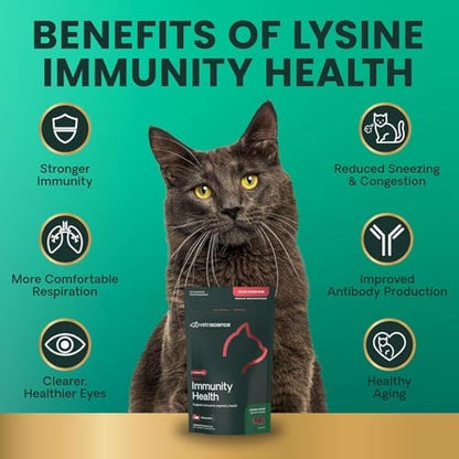 VetriScience Lysine Immunity Health Chews for Cats, Chicken, 90 Count
