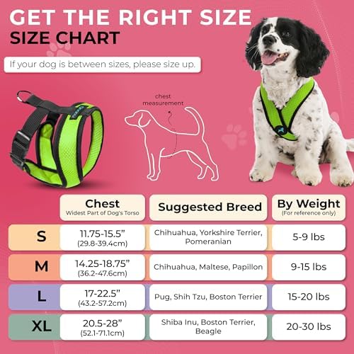 Gooby Comfort X Head-in Dog Harness, Choke-Free, Green, Small