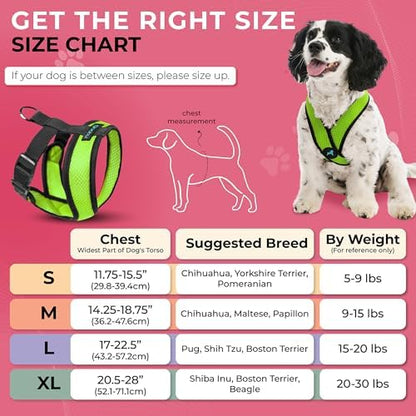 Gooby Comfort X Head-in Dog Harness, Choke-Free, Green, Small