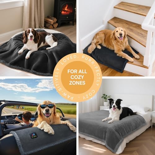 Luciphia Waterproof Bed Blanket Washable,Soft Sherpa Fleece Puppy Reversible Throw Blankets for Small Dog Cat, Furniture Cover Protector Couch Bed from Liquid Pee and Pet Fur, Black, 40" x 28"