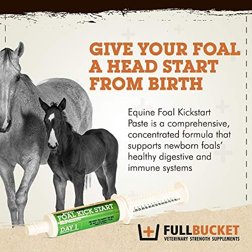 Fullbucket Health Foal Kick Start Immune Paste 80ml
