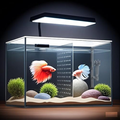 3 Gallon 12.6” L Fish Nano Glass Aquarium, with Separator Plate for Betta, Multi-Functional Square Fish Tank with Filter, LED Light, Black 4mm Glass