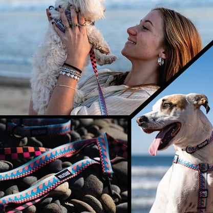 Wolfgang 5/8 Inch Venture Dog Leash Buenaonda Print Small