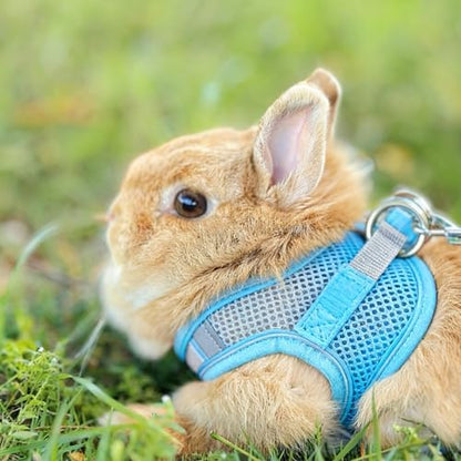 Rabbit Harness and Leash Set Escape Proof, Adjustable Soft Padded Vest, Breathable Mesh Bunny Harness with Reflective Strap, Safe for Small Animals(Blue,M)