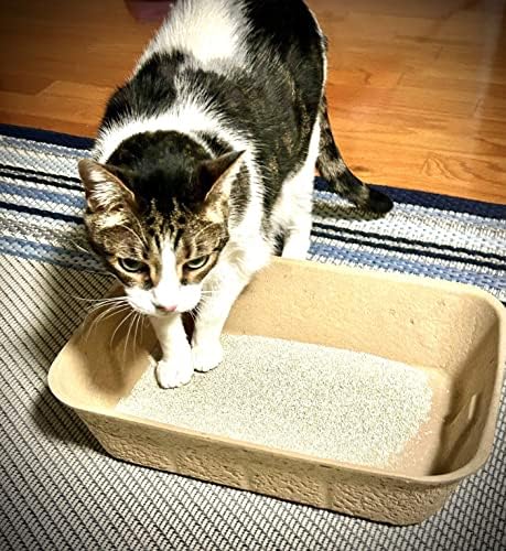 Midlee Disposable Cat Litter Boxes, Pack of 5