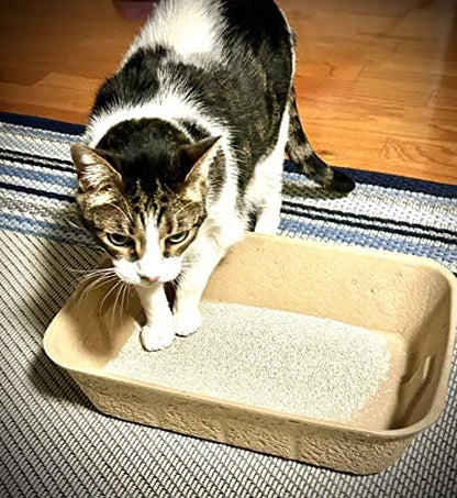Midlee Disposable Cat Litter Boxes, Pack of 5