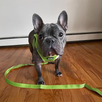 Best Pet Supplies Voyager Nylon Dog Leash - 6ft Lime Green, Large