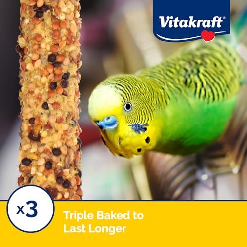 Vitakraft Crunch Sticks Parakeet Treat - Triple-Baked Millet Parakeet Treats with Natural Wood Center - Crunchy & Nutritious Bird Treat Sticks for Small Animals (12 Count, Honey, Egg, and Apple)