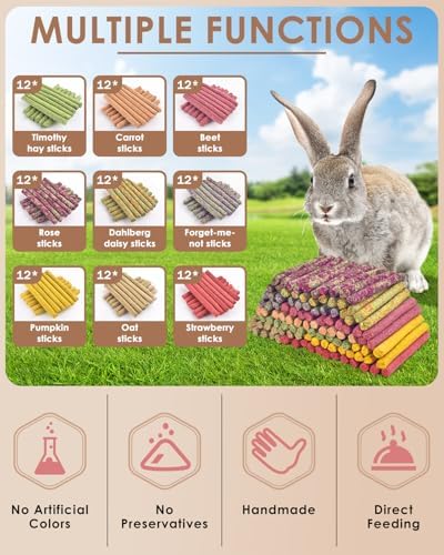 Bissap 108PCS Rabbit Chew Sticks, Natural Molar Treats for Small Animal