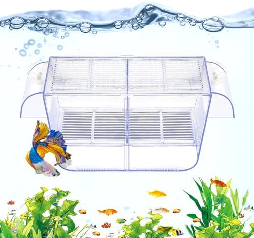DaToo Fish Breeding Box Aquarium Holding Tank Transparent Fish Isolation Box Acclimation Hatchery Incubator Breeder for Betta Shrimp Clownfish Guppy Large
