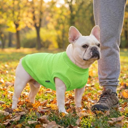 1 Pack Dog Shirt for Small Supplies Functional Waffle Dog Clothes Warm Soft Sweatshirt Outfit for Dogs Cats Pet Apparel
