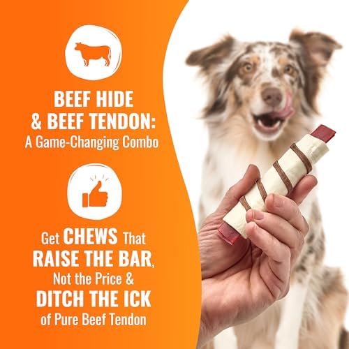 GOOD 'N' FUN Wraps High Protein Dog Treat with Real Beef Tendon, 8 Count