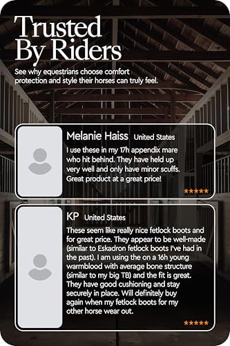 HORZE Chicago Rear Fetlock Boots for Horses, Horse Tendon Boots