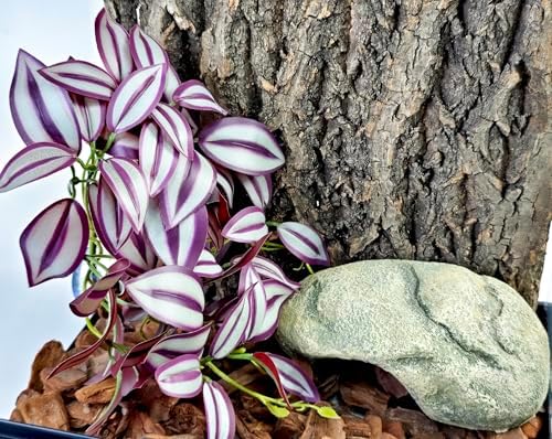 Woyrise Fake Reptile Plants for Terrarium,Tank Decor, Artificial Plant