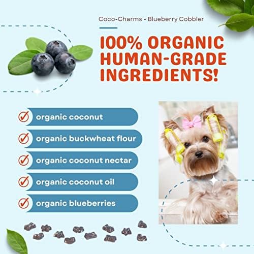 CocoTherapy Blueberry Cobbler Coco-Charms Dog Training Treats, 5 Ounces, Organic, Made in The USA (3 Pack)