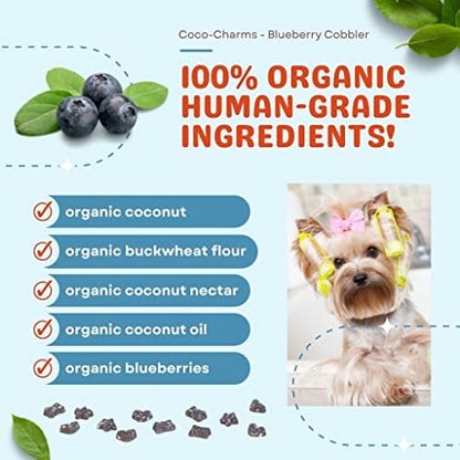 CocoTherapy Blueberry Cobbler Coco-Charms Dog Training Treats, 5 Ounces, Organic, Made in The USA (3 Pack)