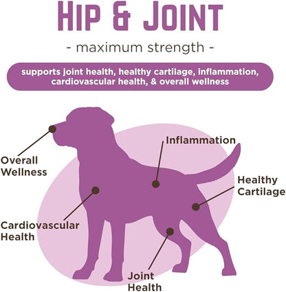 Dr. Joseph's VetPro Complete Dog Hip & Joint Supplement for Arthritis Pain Relief – High-Strength Glucosamine & Chondroitin Chews for Senior Dogs – Vet Formulated Daily Treats, Chicken Flavor, 60 Ct