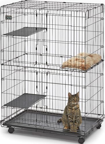 MidWest Homes for Pets Folding Metal Indoor Cat Playpen, Cage Includes Locking Wheels, 3 Platforms, Removable Tray, Plush Bed, Suited for 1-3 Cats