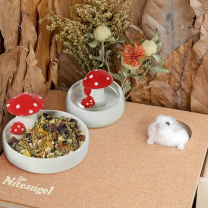 Niteangel Hamster Feeding & Water Bowls: Mushroom Ceramics & Chew-Resistant