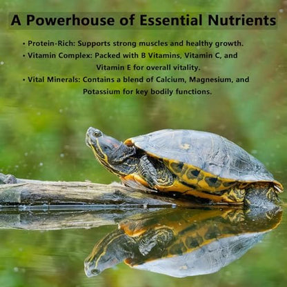 Pleasantly War Bee Pollen for Bearded Dragons and Amphibians, Natural Granules, Premium Grade, Digestive and Immune Support,8oz