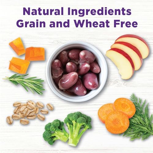 Wellness Bowl Boosters, Dog Food Topper for Small, Medium, & Large Breeds, Grain Free, Natural, Freeze Dried, Digestive Health Chicken, 4 Ounce Bag (Pack of 2)