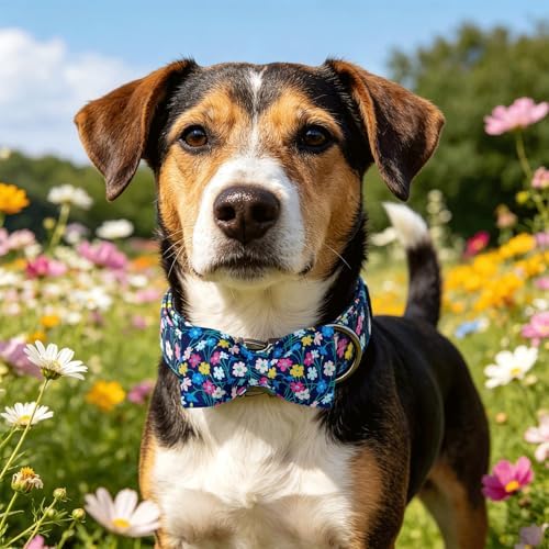 Dog Collars, Spring Summer Floral Print Pet Collar Navy Blue Adjustable Cotton Dog Collar with Bow Metal Buckle Bowtie Collars for Medium Dogs