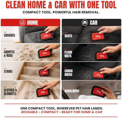 Lilly Brush Mini Pet Hair Detailer | Reusable Fur Remover for Car Interior, Carpet, Couch & Furniture