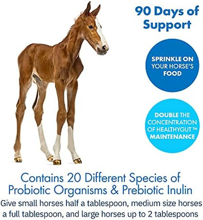 HealthyGut™ Probiotics for Horses Dietary Supplement, All-Natural Digestive System Performance Formula (90 Days)