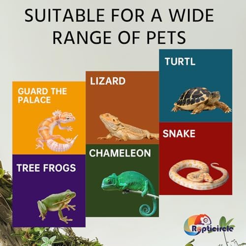 Resin Reptile Hideout Cave,Natural Habitat Decor for Bearded Dragon, Leopard Gecko, Lizards & Turtles,Terrarium Tank Accessories,A - Large