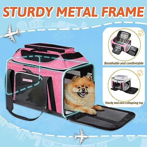 Petskd Top-Expandable Small Pet Carrier 17"x11"x9.5" Airline Approved