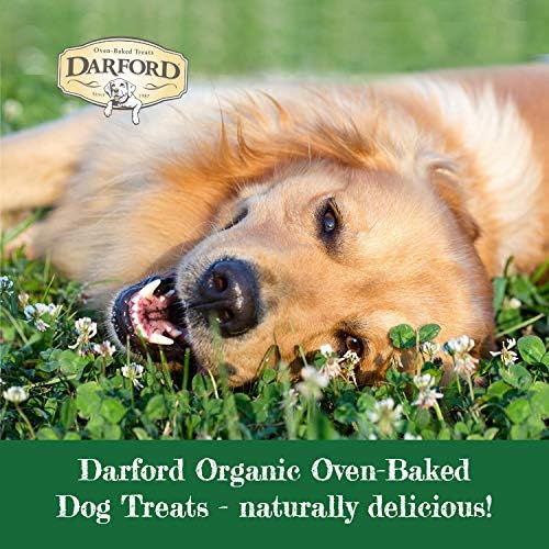 Darford Organic Premium Dog Treats – Turkey Recipe – USDA Organic Crunchy Biscuits for Dogs – Made with Organic Grains, Fruits & Vegetables – No Artificial Additives – 12 lb Box – Made in Canada
