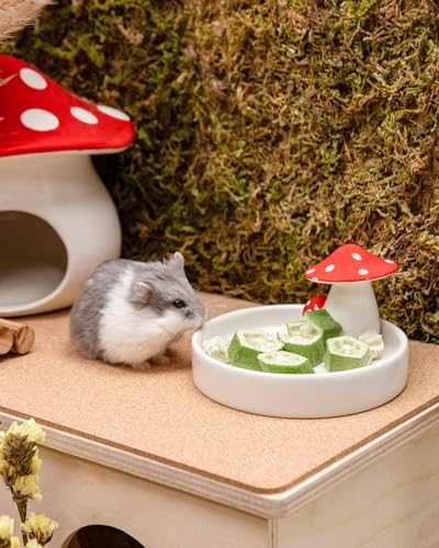 Niteangel Hamster Snack Treat Toy: Freeze-Dried Okra & No Additive