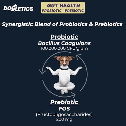 Gut Health Probiotic & Prebiotic - 90ct Support Stomach Microbiome, Prevent Digestive Problems, Reduce Anal Gland Issues, Improve Immune Function and Overall Energy